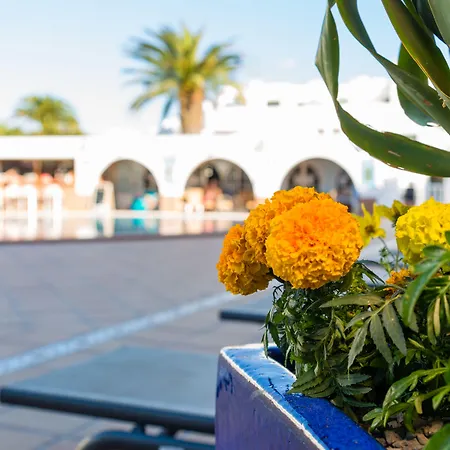 Adelfas פוארטו דל כרמן