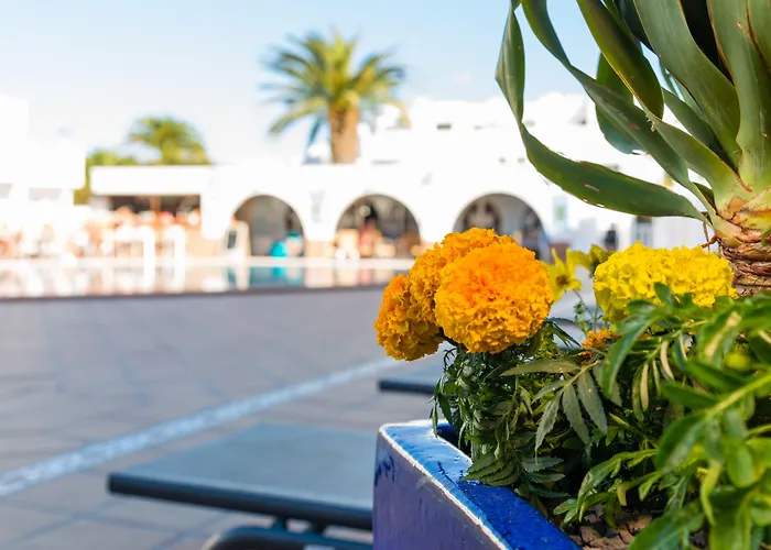 拉斯阿德尔法斯酒店 卡门港